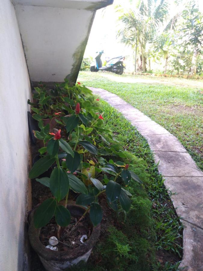 Field Island Villa - Ahangama Exterior foto