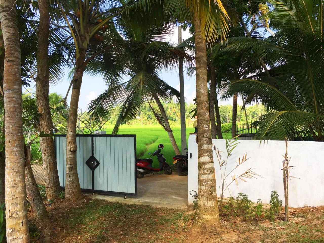 Field Island Villa - Ahangama Exterior foto